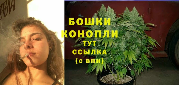 spice Беломорск